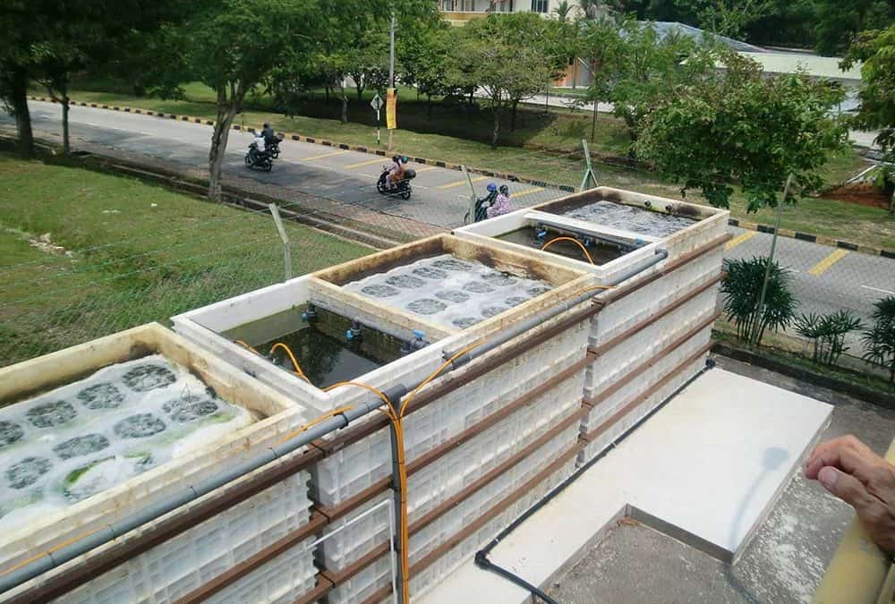 Jupiter at Kuala Lumpur University in Malaysia