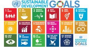 BioKube is totally committed to fulfilling United Nations SDG's to help secure clean water for all