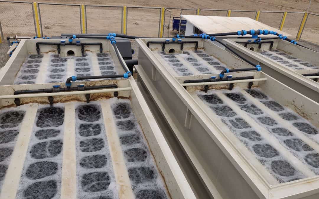 BioKube Saturn at Asparagus factory in Peru
