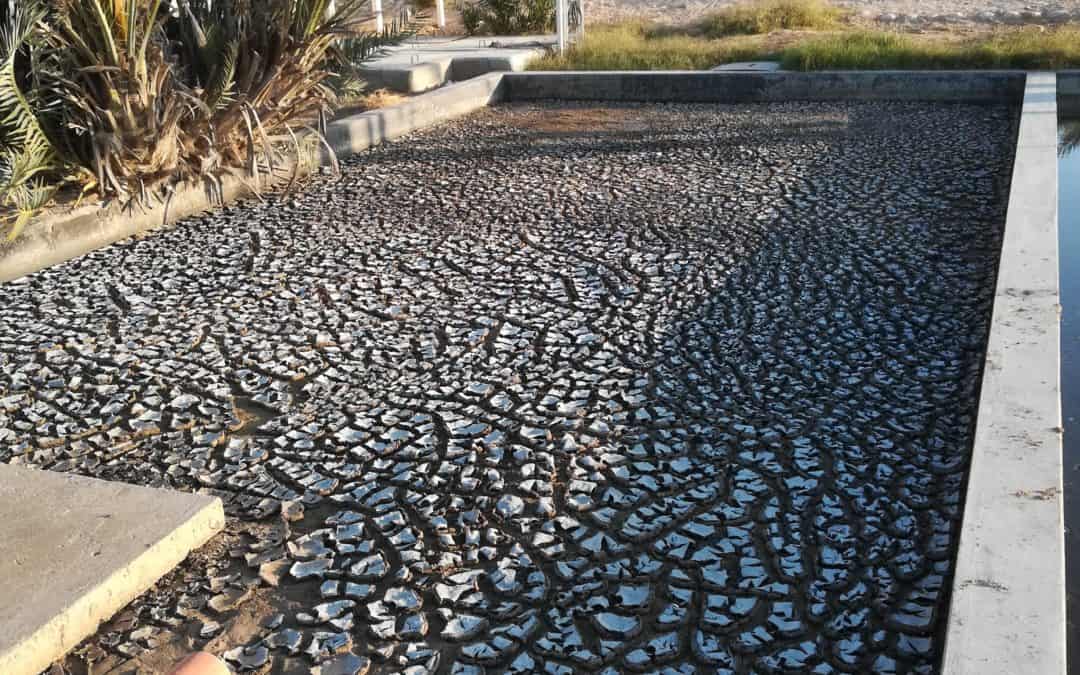 Sludge drying bed in Oman by 40 foot BioContainer